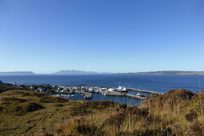 2-Day Jacobite Experience including the Hogwarts Express from Edinburgh - Should you book this Highland trip?