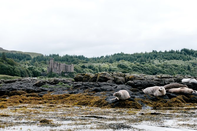 3-Day Isle of Skye, 'Hogwarts Express' Train and Highlands Tour - What the pace means in practice