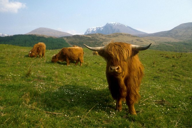 3-Day Isle of Skye, 'Hogwarts Express' Train and Highlands Tour - Should you book this Highlands trip?
