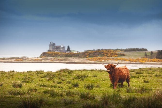 4-Day Magical Mull, Iona & West Highlands Small-Group Tour from Edinburgh - Day 4: Inveraray, Luss and the return to Edinburgh