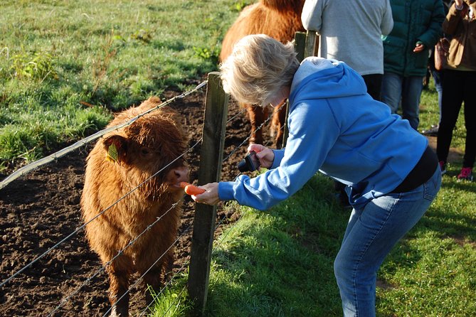 5-Day Best of Scotland Tour from Edinburgh - From Edinburgh to Loch Lomond and Kilmartin Glen