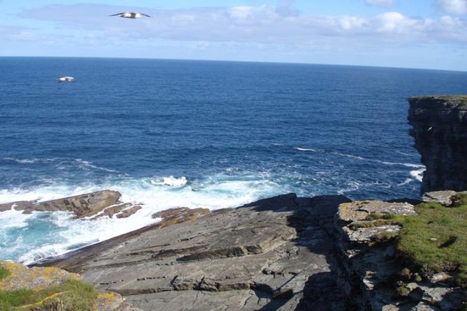 5-Day Orkney & Northern Coast Tour from Edinburgh Incl Admissions - Culloden, Clava Cairns, and the road south