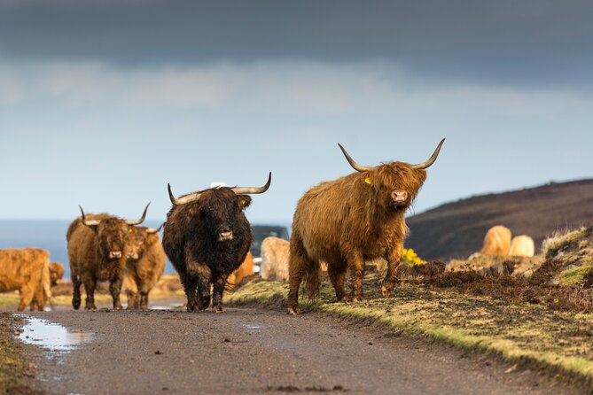 8 Day Isle of Skye, Orkney & North Coast 500 tour from Edinburgh - Day 2: Dunrobin Castle and the road north