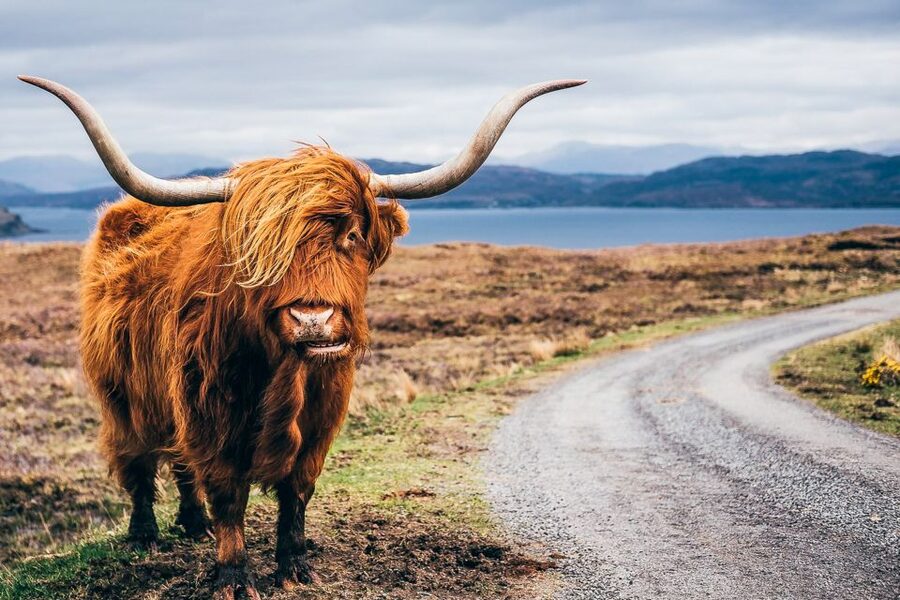 Edinburgh: 3-Day Isle of Skye, Highlands, and Loch Ness Tour - Leaving Edinburgh for Loch Lomond and Glencoe