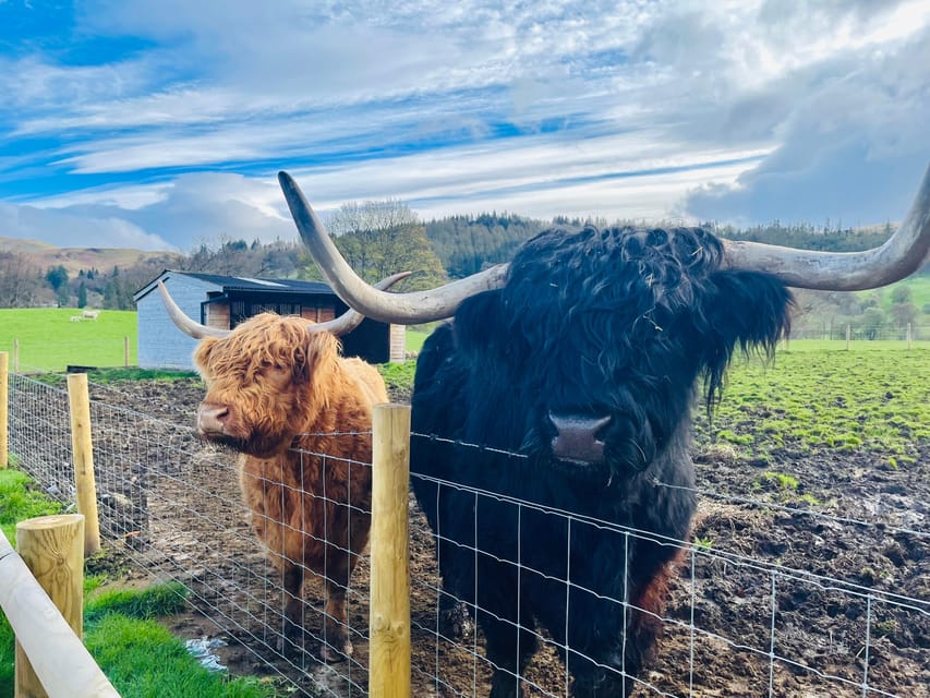 Edinburgh: Glenfinnan Viaduct, Glencoe & Fort William - FAQ