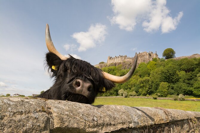 Edinburgh: Loch Lomond, Stirling Castle and the Kelpies Day Tour - A full day beyond Edinburgh