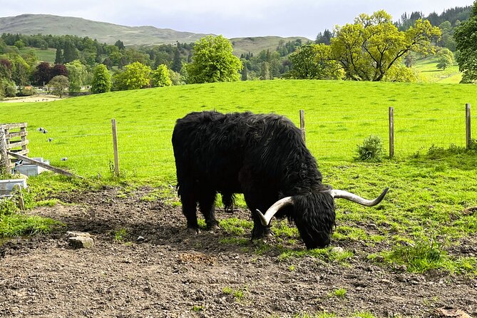 Edinburgh: Loch Ness, Glencoe & The Highlands - How to prepare for a long coach day