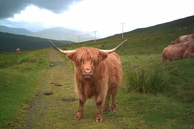 Edinburgh: Private Loch Ness Glencoe and The Highlands Tour - Edinburgh to the Highlands: a long day with a private guide