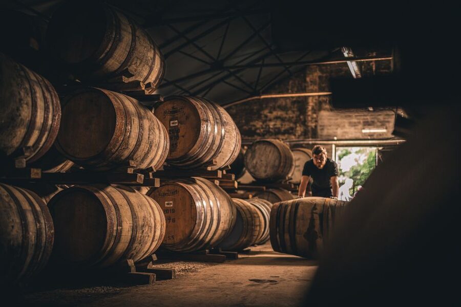 Edinburgh: Ultimate Whisky Experience - Who will get the most from this day