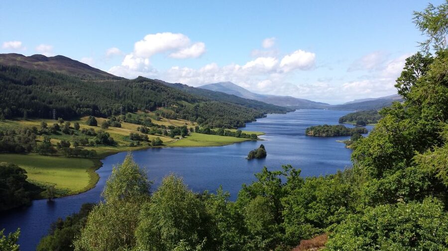 From Edinburgh: Best of Scotland Small-Group Day Tour - The Hermitage: tall trees and a waterfall