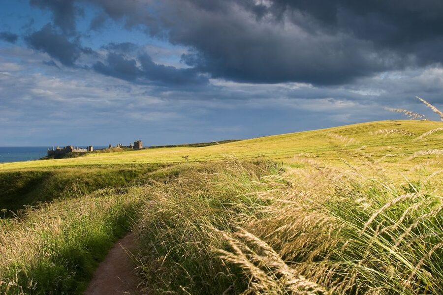 From Edinburgh: Glamis and Dunnottar Castles Tour in Italian - Key points before you book
