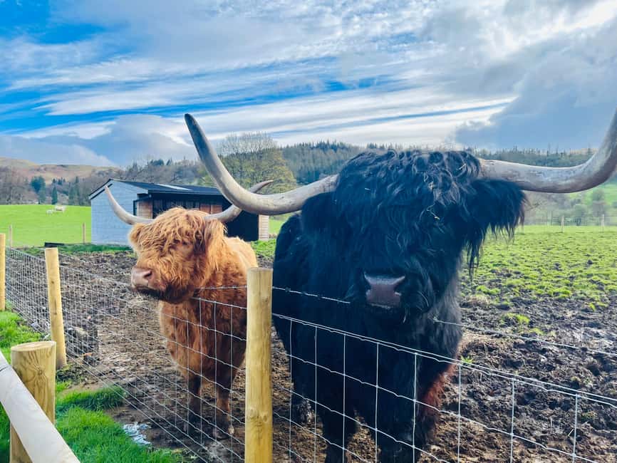 From Edinburgh: Loch Ness, Glencoe & The Highlands Day Trip - Callander and Loch Tulla: the scenery begins to open