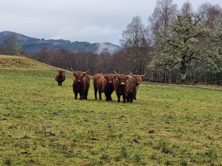 From Edinburgh: Loch Ness Private Day Tour with Transfers - Glen Orchy and Glencoe: big views, short visits
