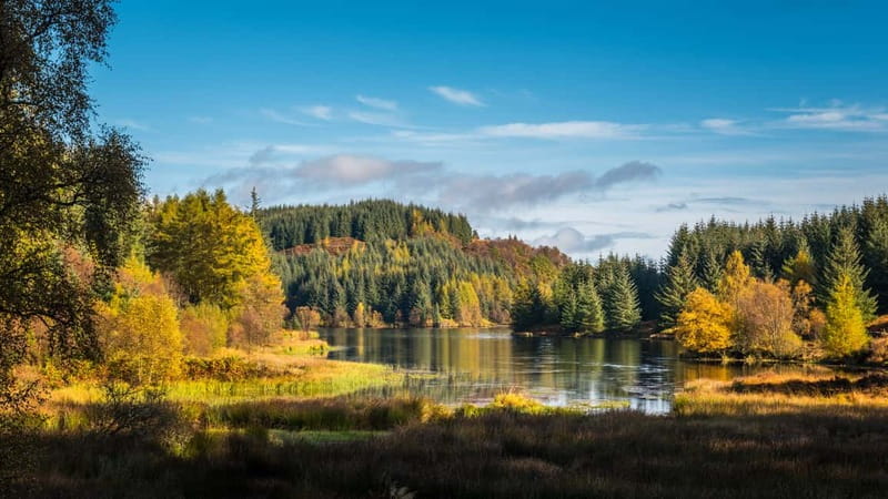 From Edinburgh: Stirling Castle, Kelpies and Loch Lomond - What the $74 price covers
