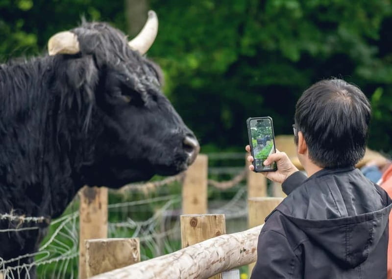 From Edinburgh: Stirling Castle, Kelpies and Loch Lomond - Loch Lomond and the Trossachs: scenery with a choice