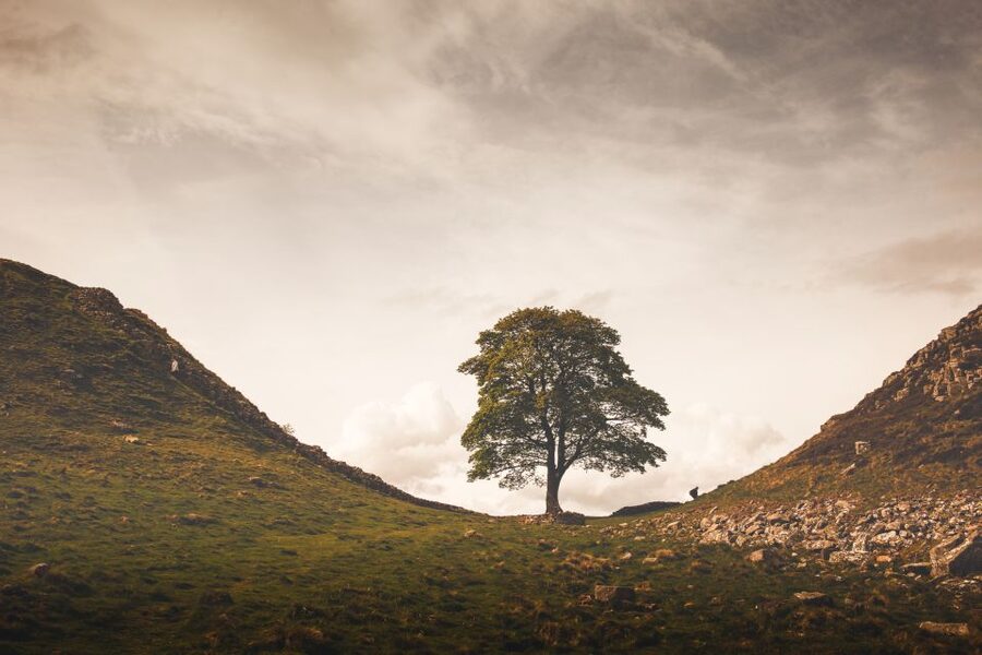 Hadrian's Wall & Roman Britain 1-Day Tour from Edinburgh - The return north through Moffat