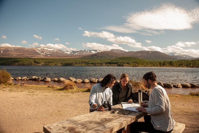 Highland Lochs, Glens & Whisky Day Tour Including Admission - Is $80.08 good value?