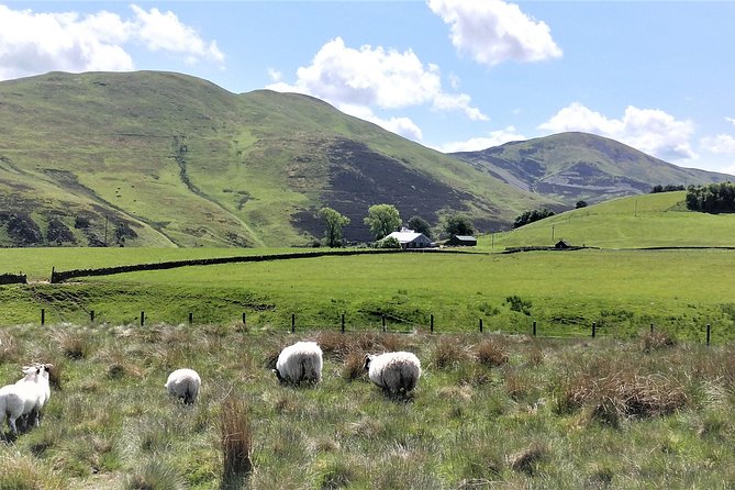 Hill & Nature Hike - Discover Real Edinburgh With a Local Expert - Rishi’s guiding and group pace