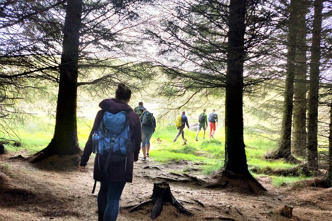 Hill & Nature Hike - Discover Real Edinburgh With a Local Expert - Timing, booking and cancellation