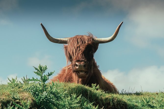 Loch Ness, Glen Coe & The Highlands Day Tour from Edinburgh - Fort Augustus and your Loch Ness choice