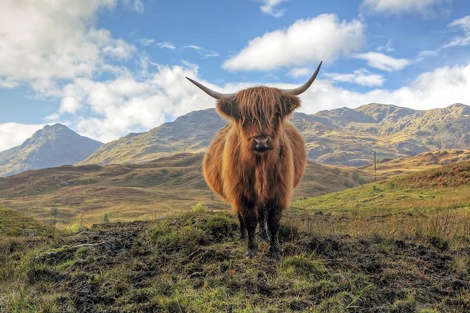 Loch Ness, Glencoe & the Highlands Guided Day Tour from Edinburgh - What the $85.99 fare buys you