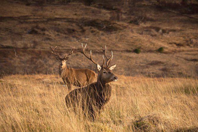 Loch Ness, Scottish Highlands, Glencoe and Pitlochry Tour - What the long day feels like