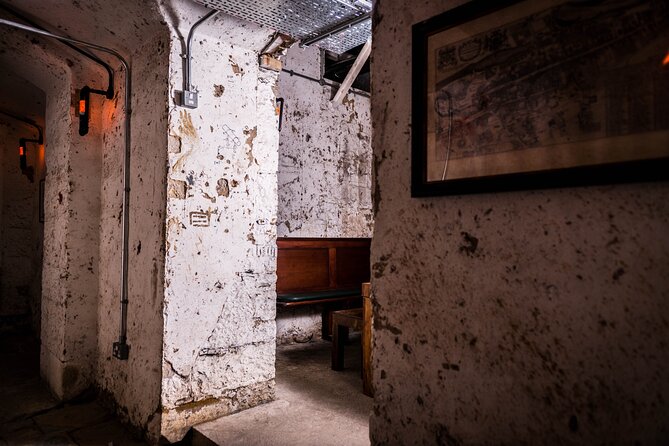 Luxury Whisky Tasting in Edinburgh's Underground Vaults | 90min - Down the stairs to the Lost Close