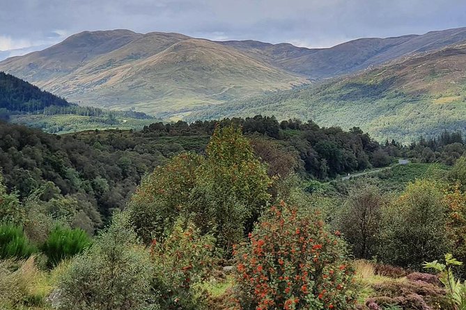 Private Central Highlands Driving Tour - Callander and the first Highland cattle