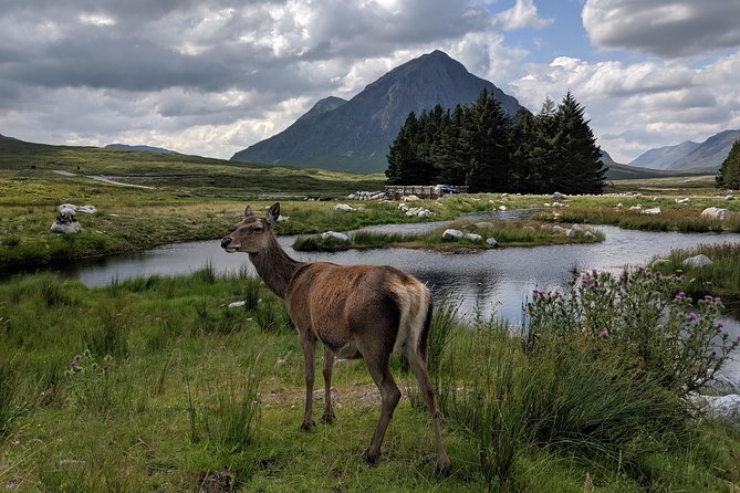 Private One Day Highlands Tour of Scotland - Who should take this tour