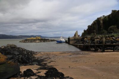 Sightseeing Cruise to Inchcolm Island
