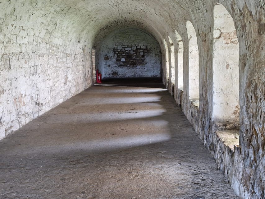 Queensferry: Sightseeing Cruise to Inchcolm Island - Wildlife, seabirds and a quiet patch of shoreline