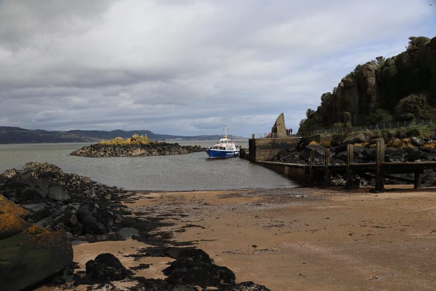 Queensferry: Sightseeing Cruise to Inchcolm Island - Wildlife, nesting gulls and the right time to walk