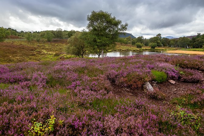 Scottish Highland Games Day Trip from Edinburgh - Weather, lunch and what to bring