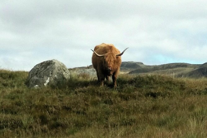 Scottish Highlands Freedom Bike & E- Bike Tour with Transfers - A cafe stop that breaks up the ride