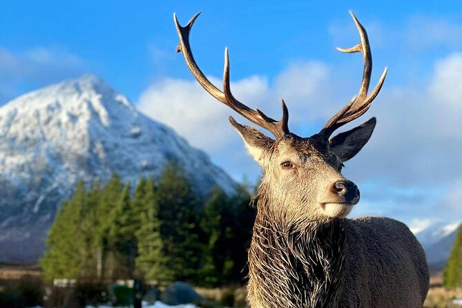 Scottish Highlands, Loch Ness and Glencoe Day Trip from Edinburgh - The return drive adds Stirling to the story