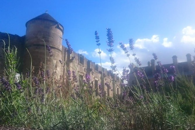 St Andrews, Falkland and Fife Villages Tour from Edinburgh - From Edinburgh to the Forth bridges