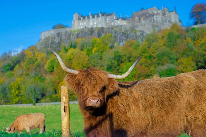 Stirling Castle,Trossachs National and Loch Lomond Day Tour from Edinburgh - Balmaha and the Bonnie Banks of Loch Lomond